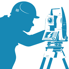 Bangladesh survey Consultant